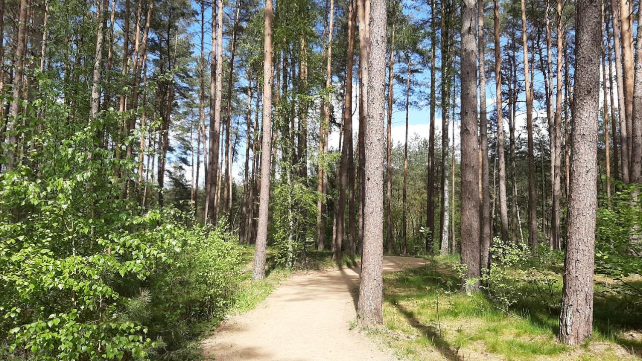 Forest Rooms Bad Bevensen Eksteriør bilde